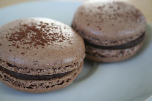 macaron experiment