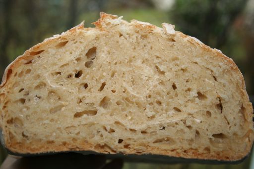 No Knead Bread