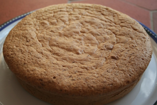 Walnut cake with chocolate icing